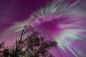 Northern Lights, Skogman Lake, Minnesota